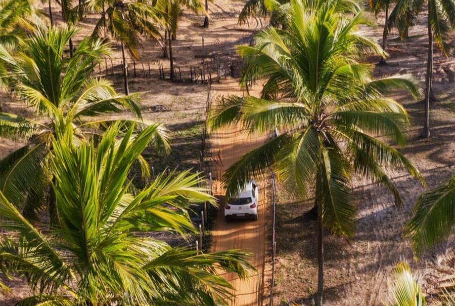 whatsapp image 2025-02-18 at 15.40.37.jpeg