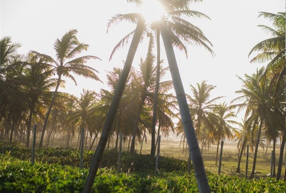 whatsapp image 2025-02-18 at 16.39.36 (1).jpeg