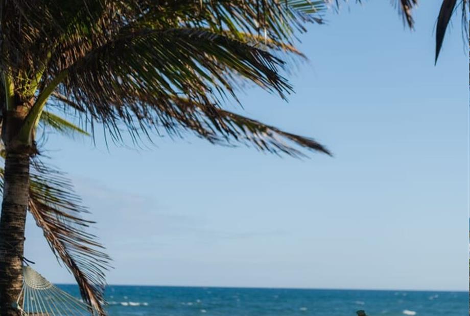 whatsapp image 2025-02-18 at 16.39.36.jpeg