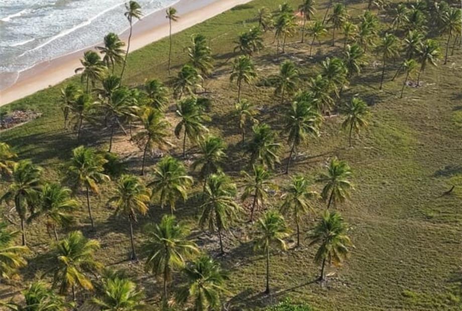 whatsapp image 2025-02-18 at 16.54.18.jpeg