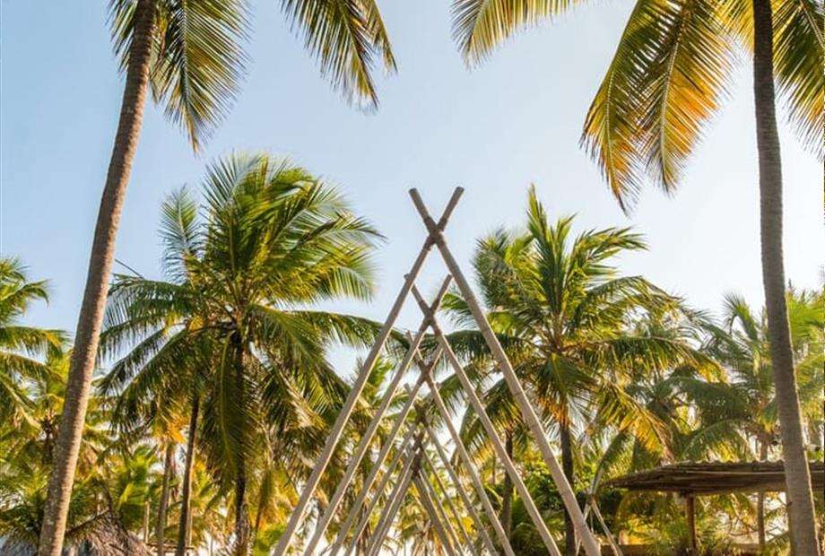 whatsapp image 2025-02-18 at 16.54.19 (1).jpeg