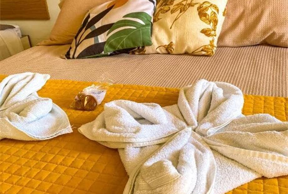 Quarto Quádruplo Standard-3.jpg