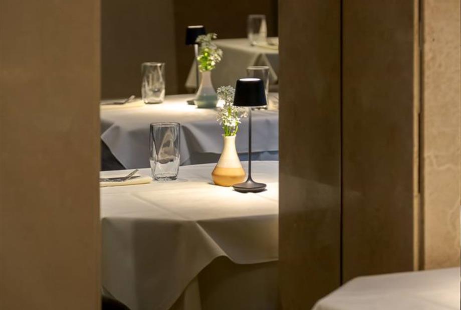 windsor 2025-09_07-baja.jpg