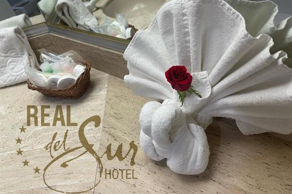 Foto 3 de Hotel Real del Sur
