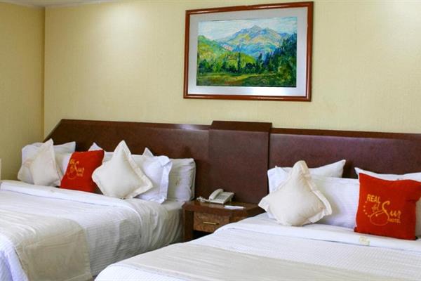 Foto 7 de Hotel Real del Sur