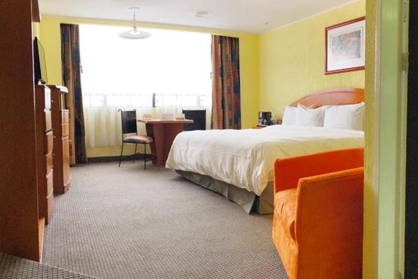 Foto 13 de Hotel Real del Sur