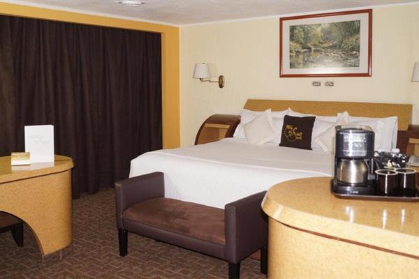 Foto 17 de Hotel Real del Sur
