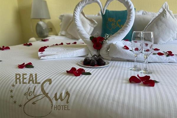 Foto 23 de Hotel Real del Sur