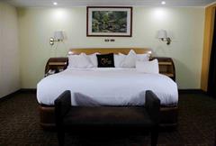 Habitación Junior Suite