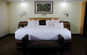 Habitación Junior Suite de Hotel Real del Sur
