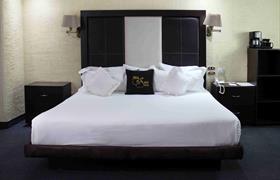 Senior Suite de Hotel Real del Sur