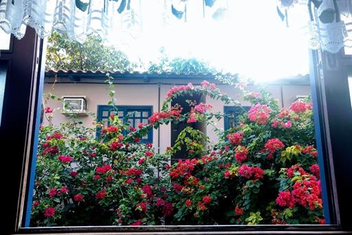 whatsapp image 2025-02-26 at 11.08.58.jpeg