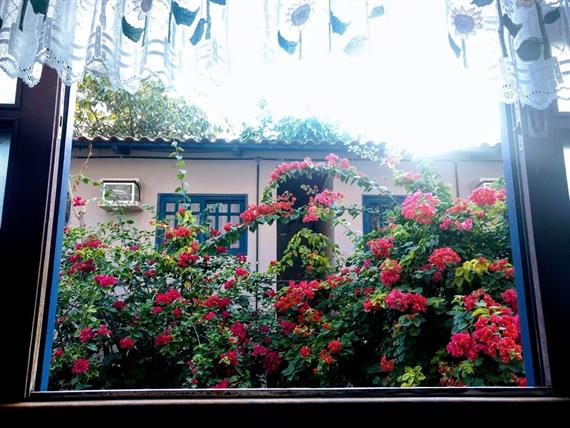 whatsapp image 2025-02-26 at 11.08.58.jpeg