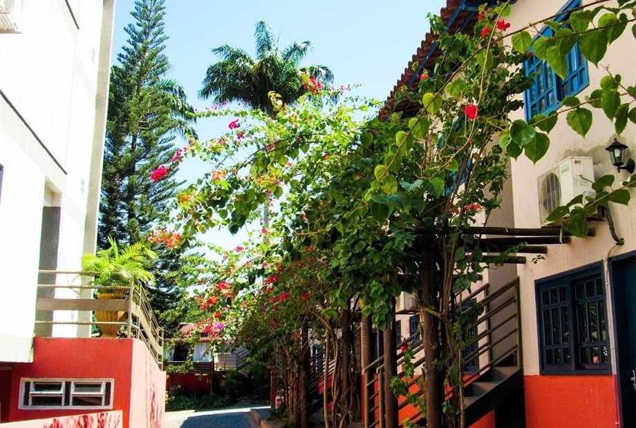 whatsapp image 2025-02-26 at 11.08.57 (1).jpeg