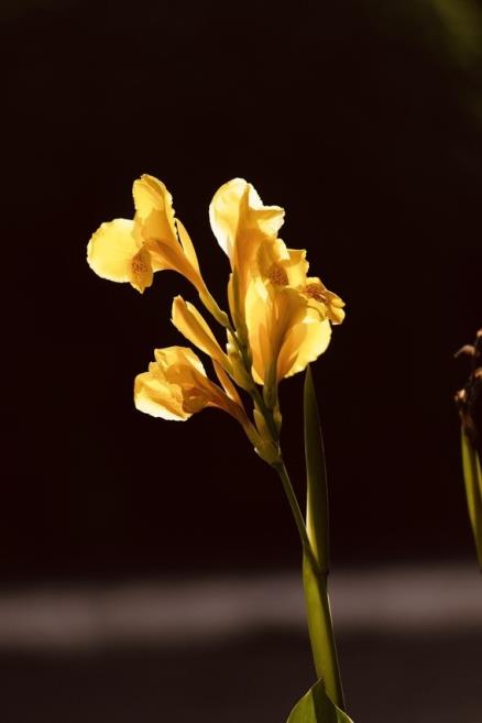 img_5930.jpeg