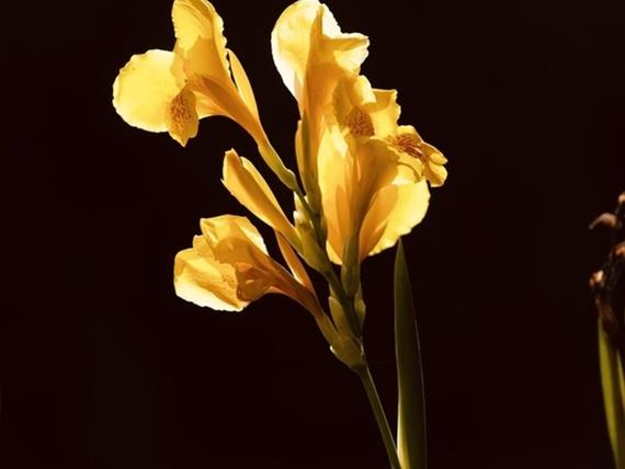 img_5930.jpeg