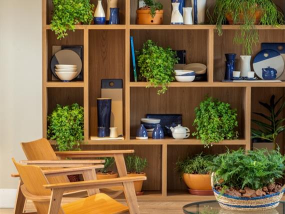 foto 16 - recepcao (estante).jpg