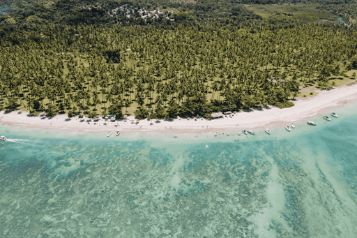 design sem nome (54).png