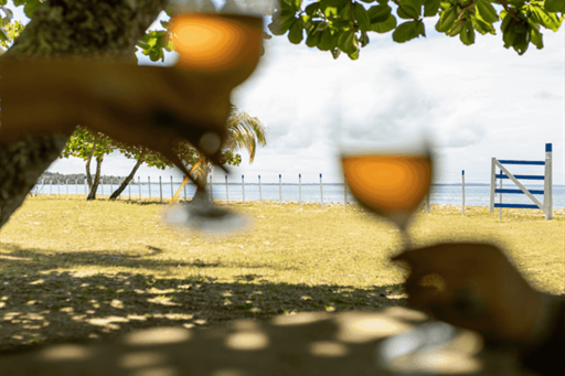 design sem nome (31).png