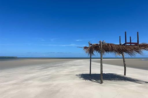 whatsapp image 2025-03-24 at 14.51.32 (3).jpeg