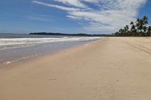 whatsapp image 2025-03-24 at 14.51.32 (1).jpeg