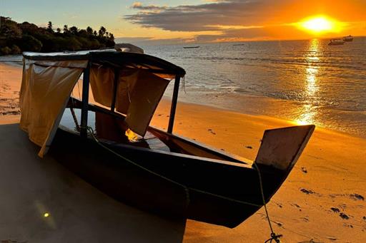 whatsapp image 2025-03-24 at 14.51.30.jpeg