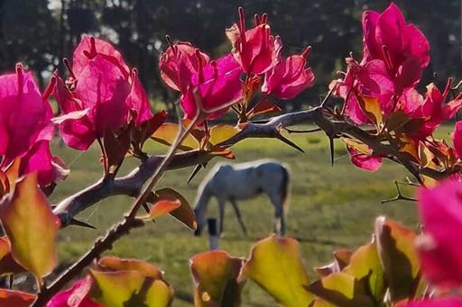 whatsapp image 2025-03-24 at 14.51.30 (3).jpeg