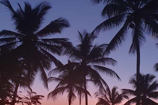 whatsapp image 2025-03-24 at 14.51.30 (1).jpeg