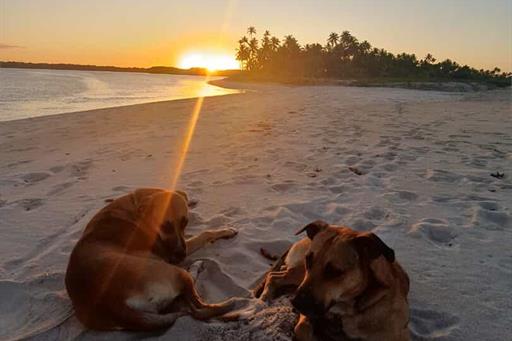 whatsapp image 2025-03-24 at 14.51.27.jpeg