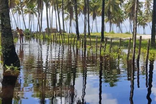 whatsapp image 2025-03-24 at 14.51.24.jpeg