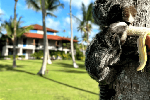 design sem nome (76).png