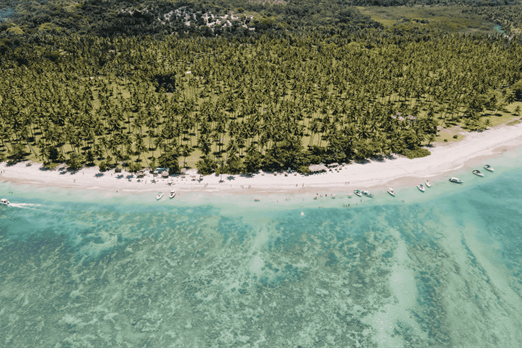 design sem nome (54).png