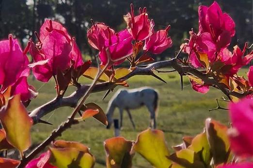 whatsapp image 2025-03-24 at 14.51.30 (3).jpeg