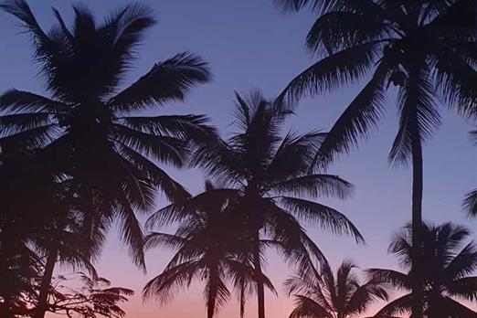 whatsapp image 2025-03-24 at 14.51.30 (1).jpeg