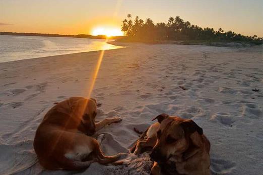 whatsapp image 2025-03-24 at 14.51.27.jpeg