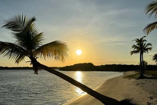 whatsapp image 2025-03-24 at 14.51.27 (3).jpeg