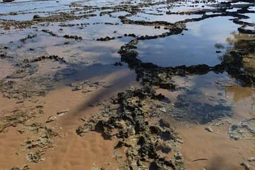 whatsapp image 2025-03-24 at 14.51.24 (1).jpeg