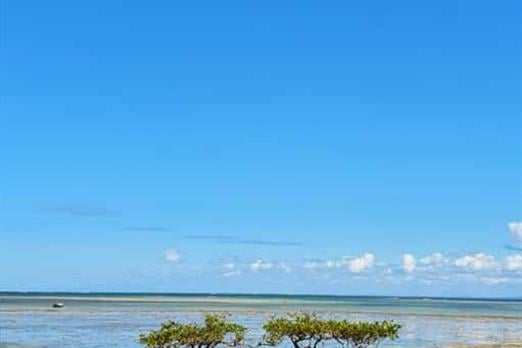 whatsapp image 2025-03-24 at 14.51.26.jpeg