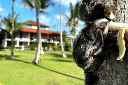 design sem nome (76).png