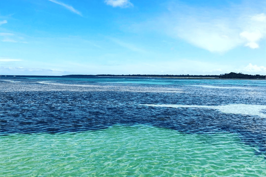 design sem nome (78).png