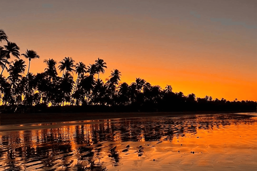 design sem nome (82).png