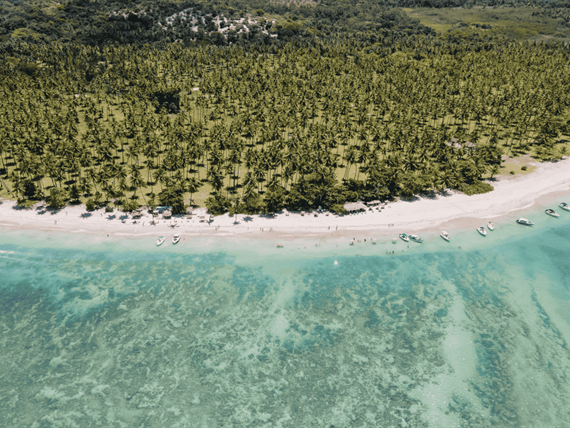 design sem nome (54).png