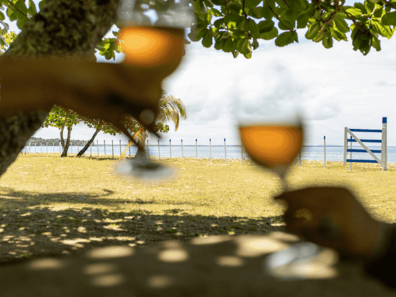 design sem nome (31).png