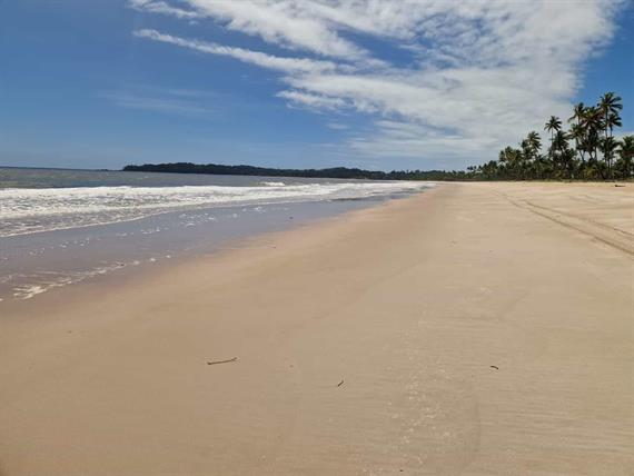 whatsapp image 2025-03-24 at 14.51.32 (1).jpeg