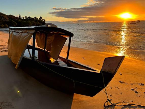 whatsapp image 2025-03-24 at 14.51.30.jpeg