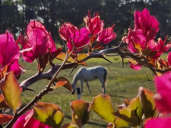 whatsapp image 2025-03-24 at 14.51.30 (3).jpeg