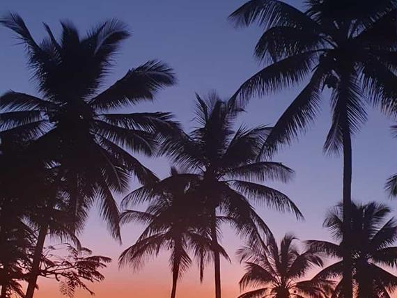 whatsapp image 2025-03-24 at 14.51.30 (1).jpeg