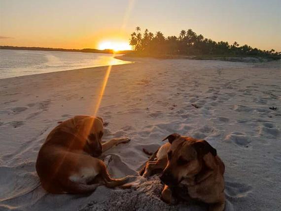 whatsapp image 2025-03-24 at 14.51.27.jpeg