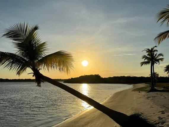 whatsapp image 2025-03-24 at 14.51.27 (3).jpeg