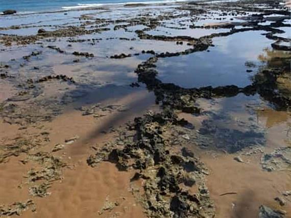 whatsapp image 2025-03-24 at 14.51.24 (1).jpeg